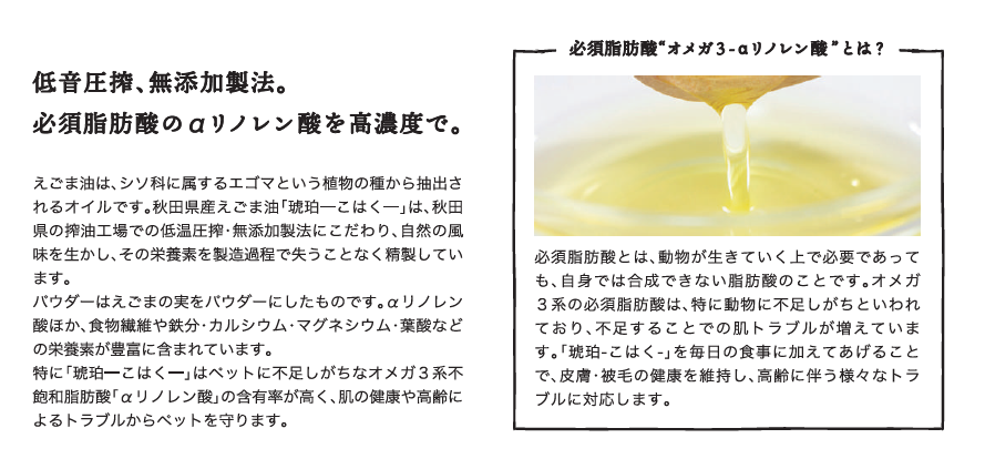新商品トップ