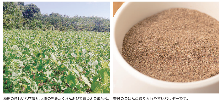 新商品トップ