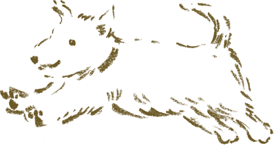 ワンちゃんイメージ