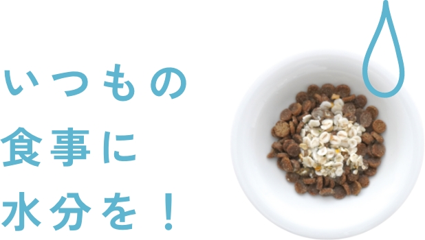 いつもの食事に水分を
