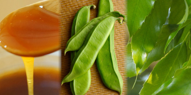 各フレーバーの素材