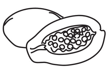 青パパイヤイメージ