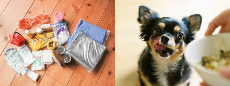 非常食イメージ