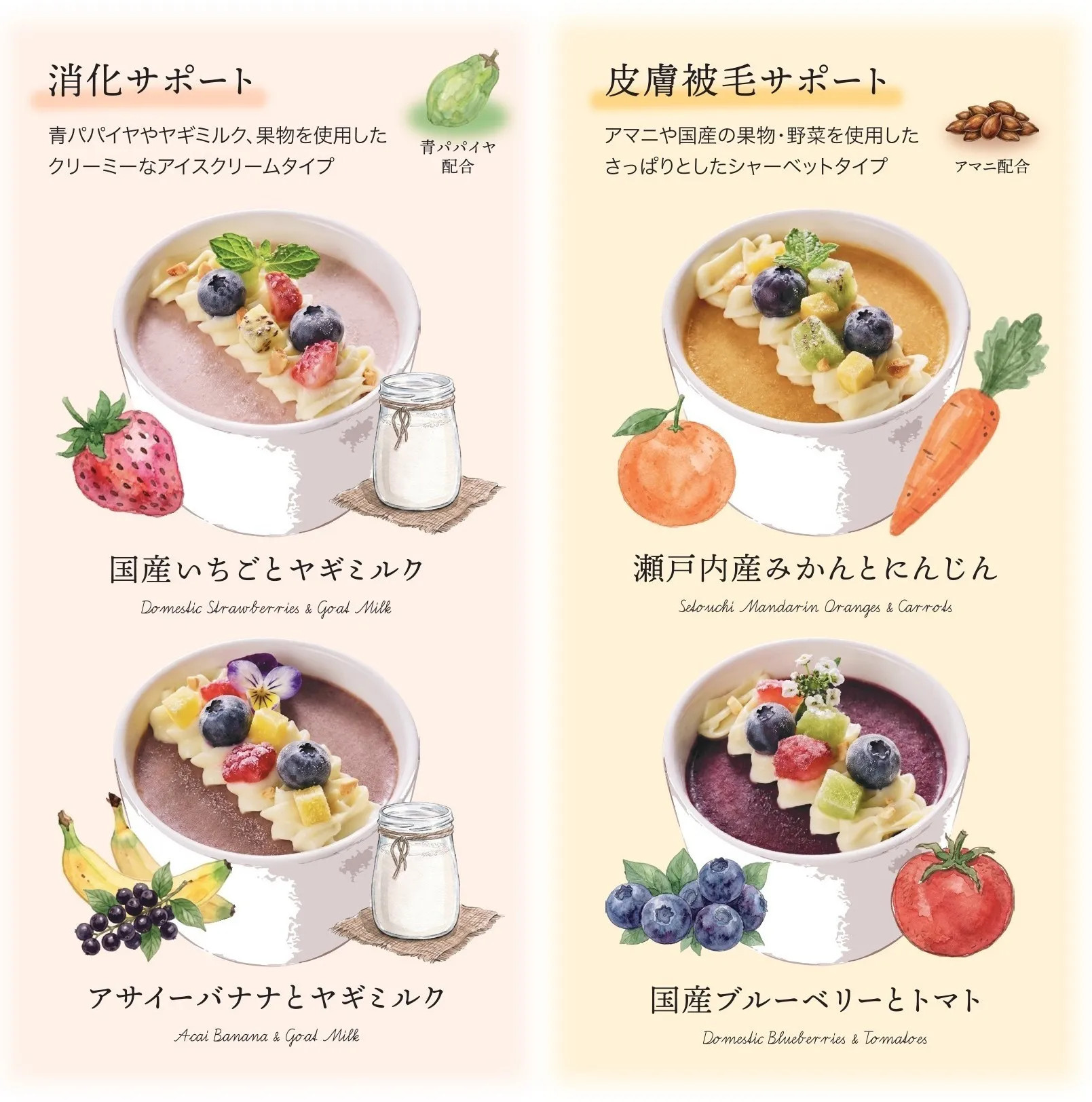 タイプ分け画像